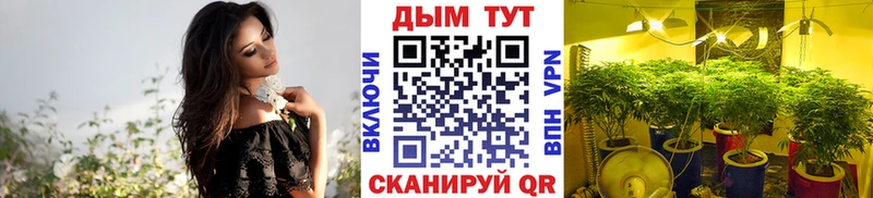 блэк спрут рабочий сайт  shop как зайти  Щёлкино  Канабис Bruce Banner  где можно купить  